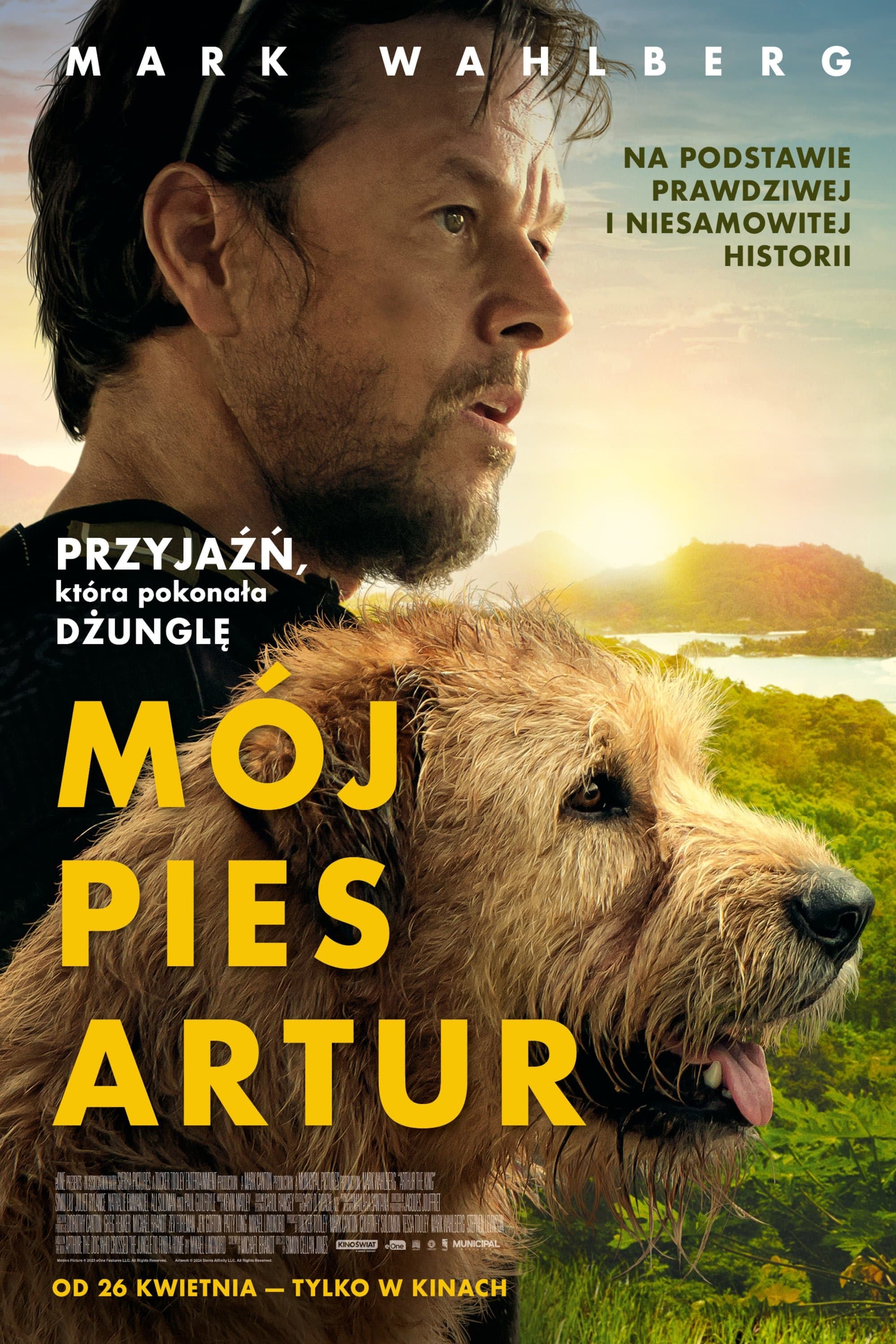 Oglądaj Mój pies Artur