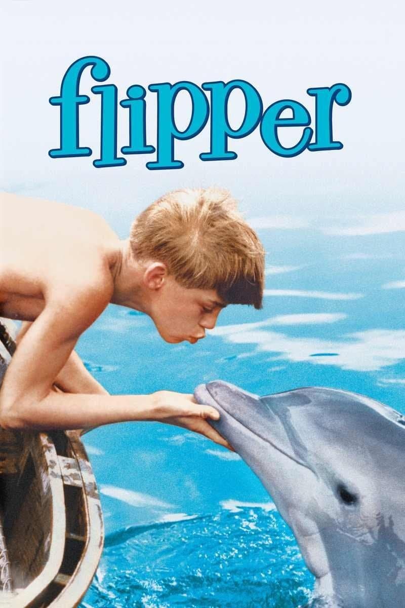 Oglądaj Mój przyjaciel delfin