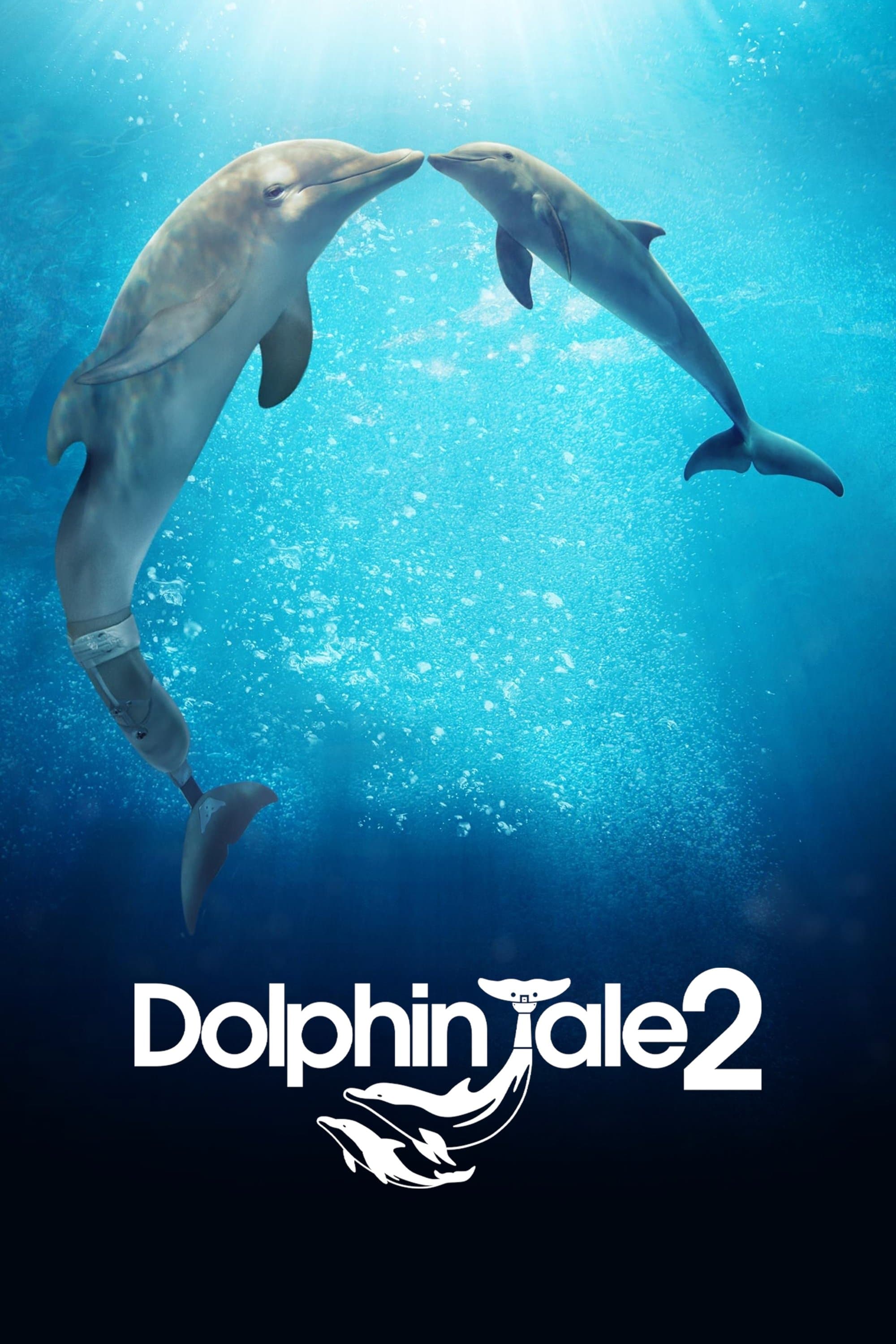 Oglądaj Mój przyjaciel delfin 2: Ocalić Mandy
