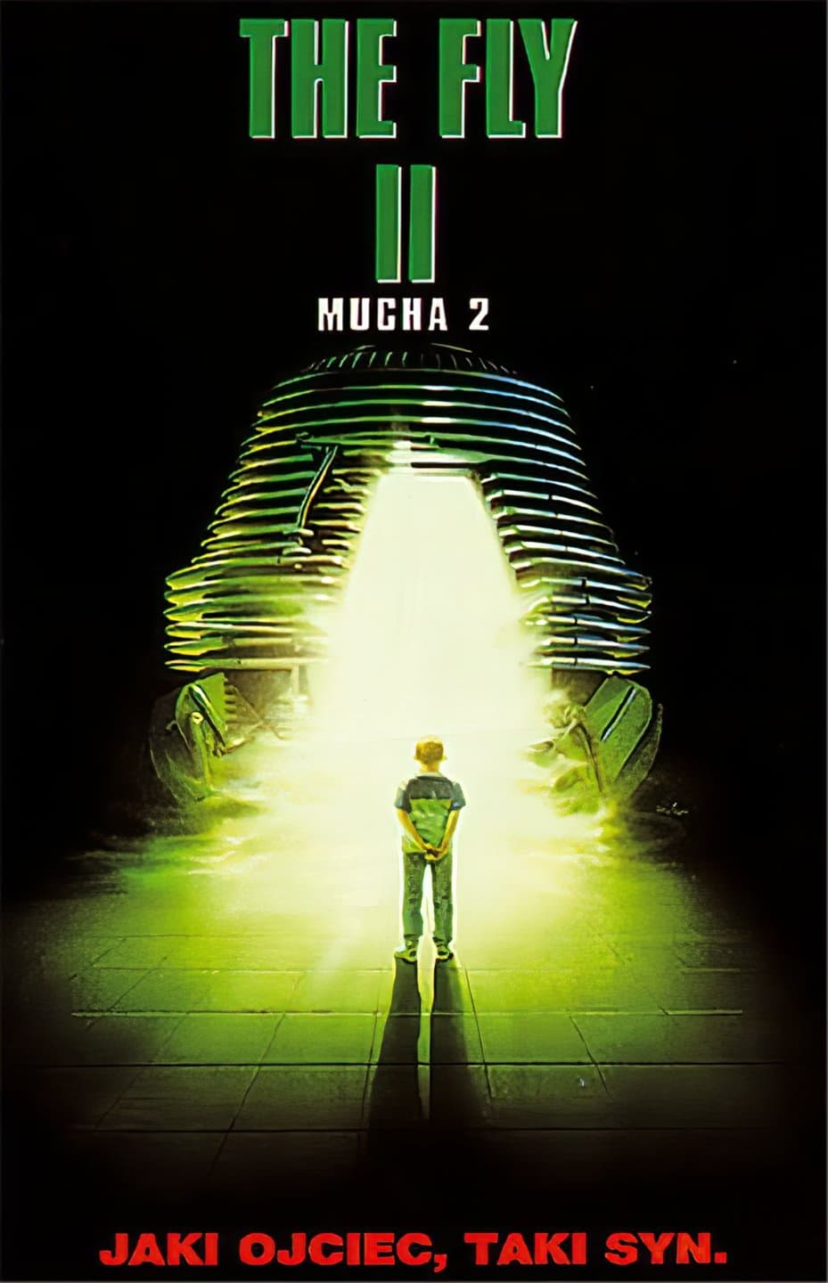 Oglądaj Mucha 2