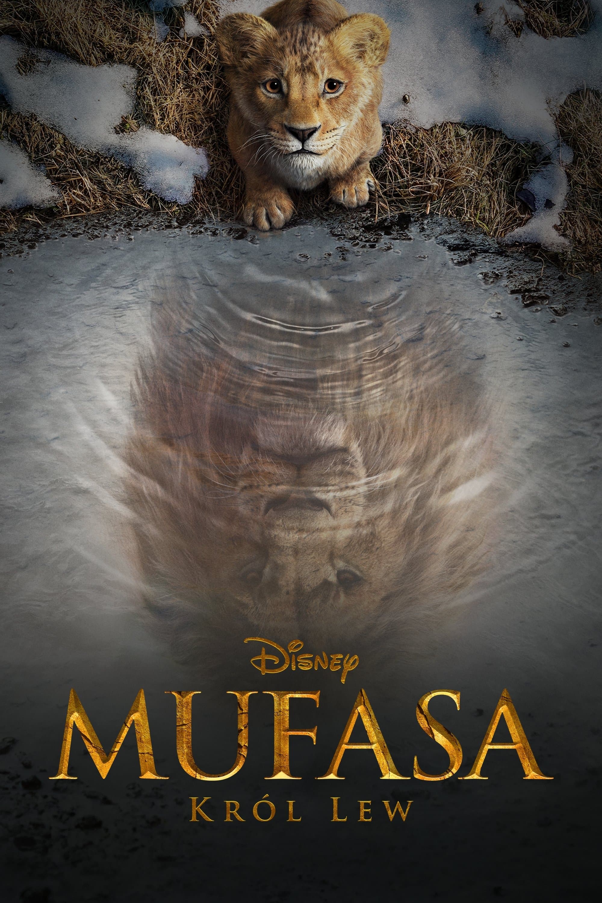 Oglądaj Mufasa: Król Lew