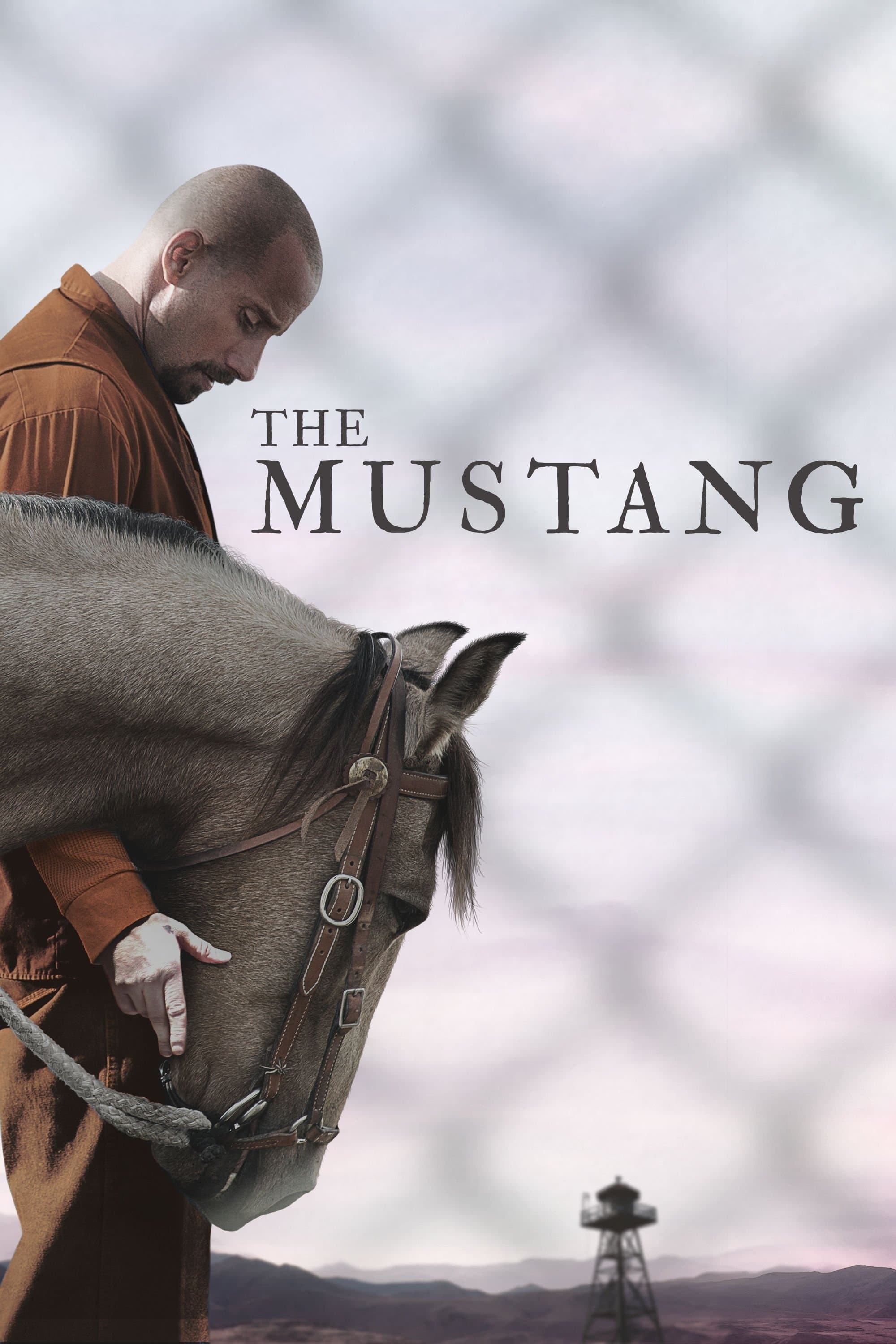Oglądaj Mustang