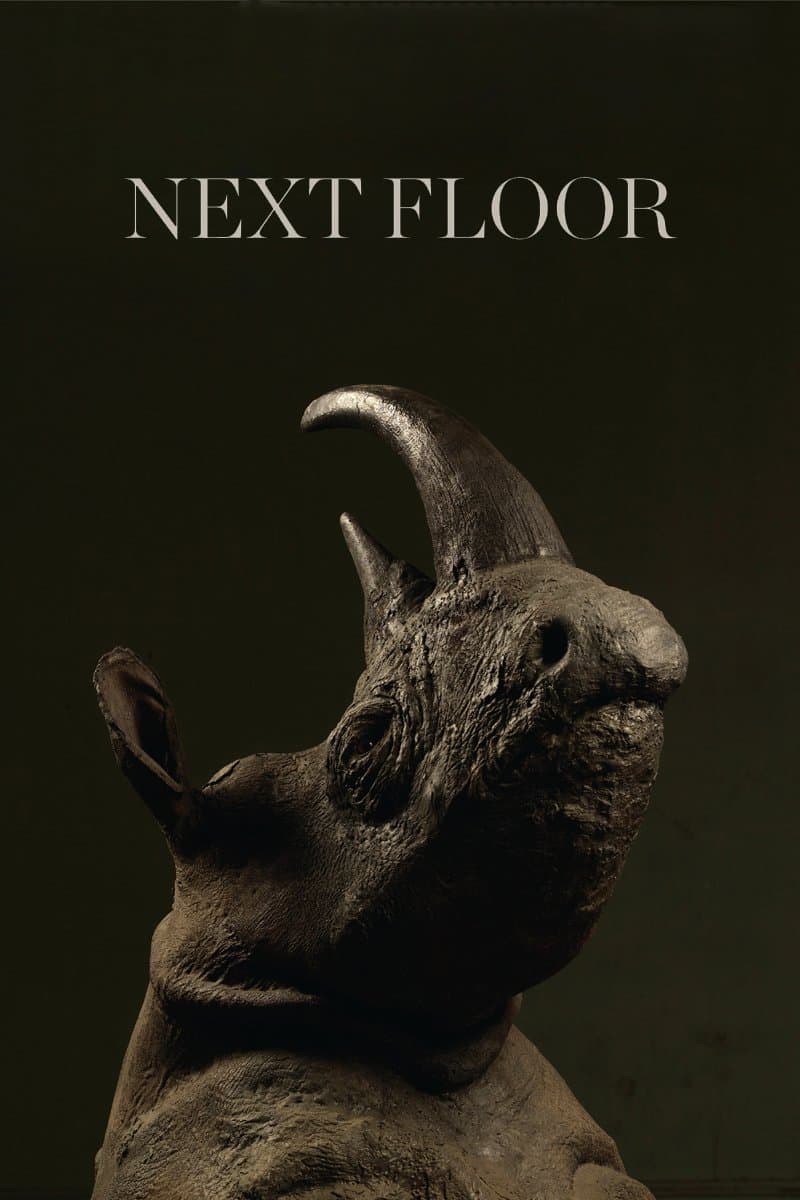 Oglądaj Next Floor