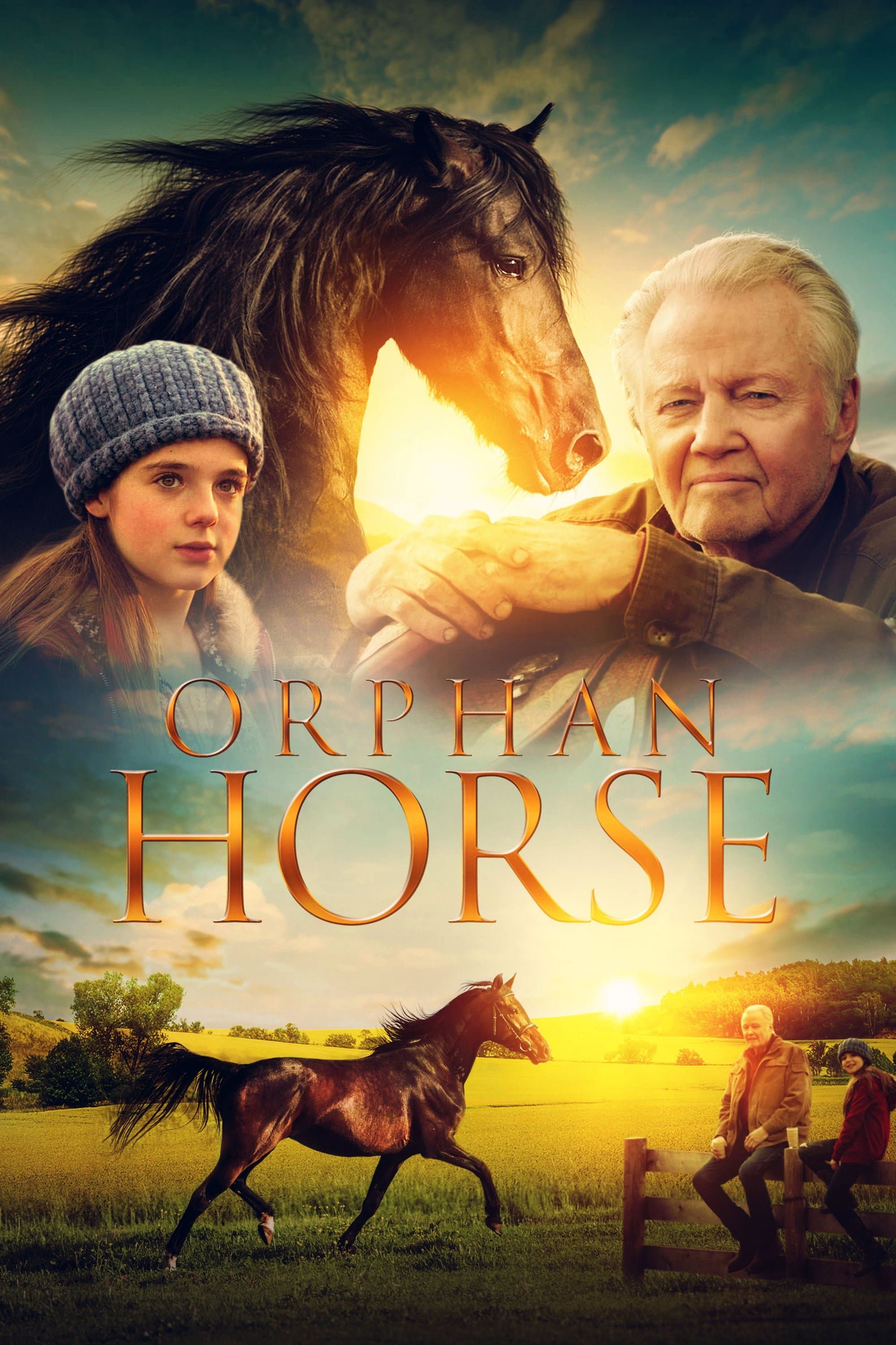 Oglądaj Orphan Horse
