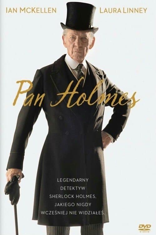 Oglądaj Pan Holmes