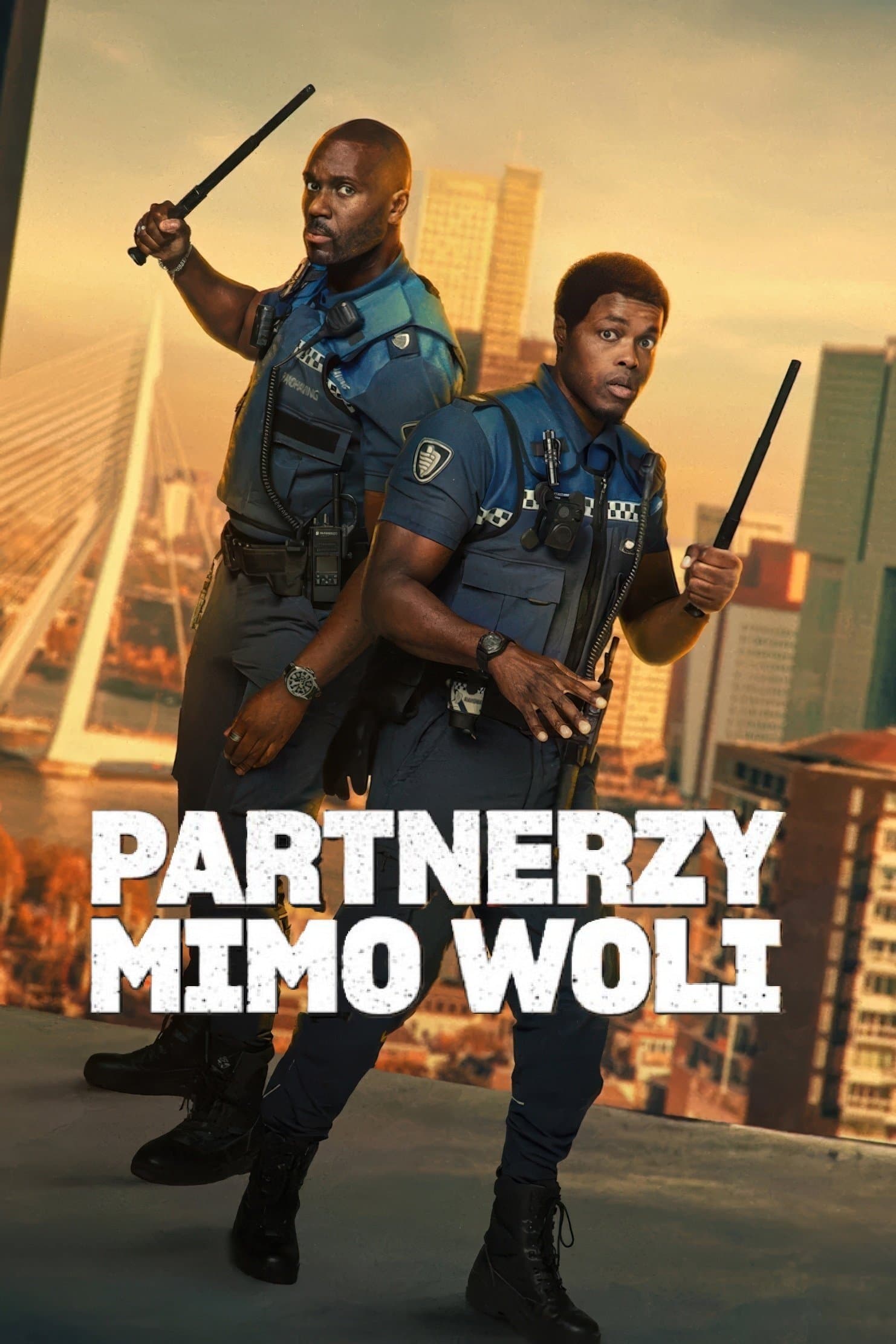 Oglądaj Partnerzy mimo woli