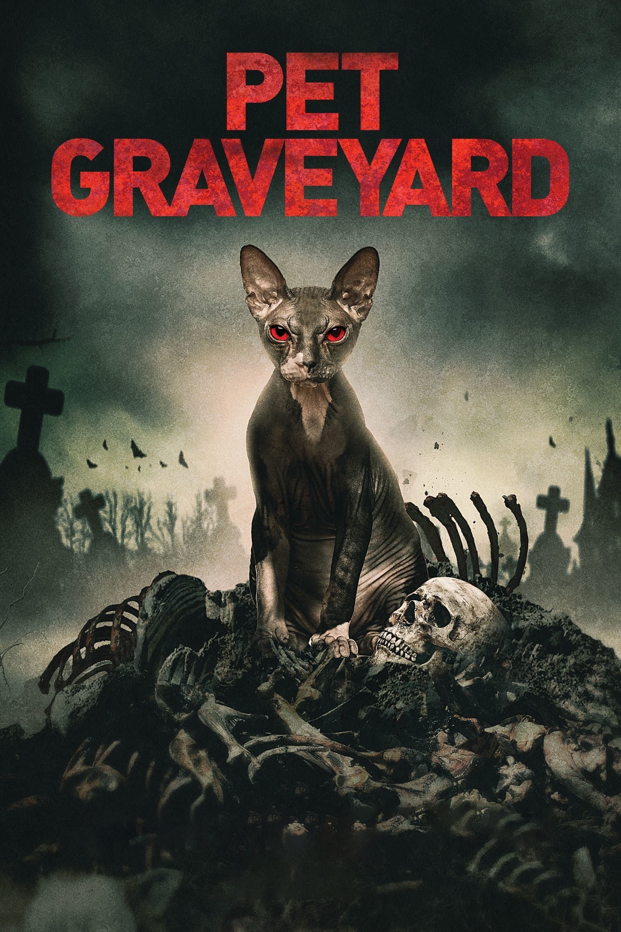 Oglądaj Pet Graveyard