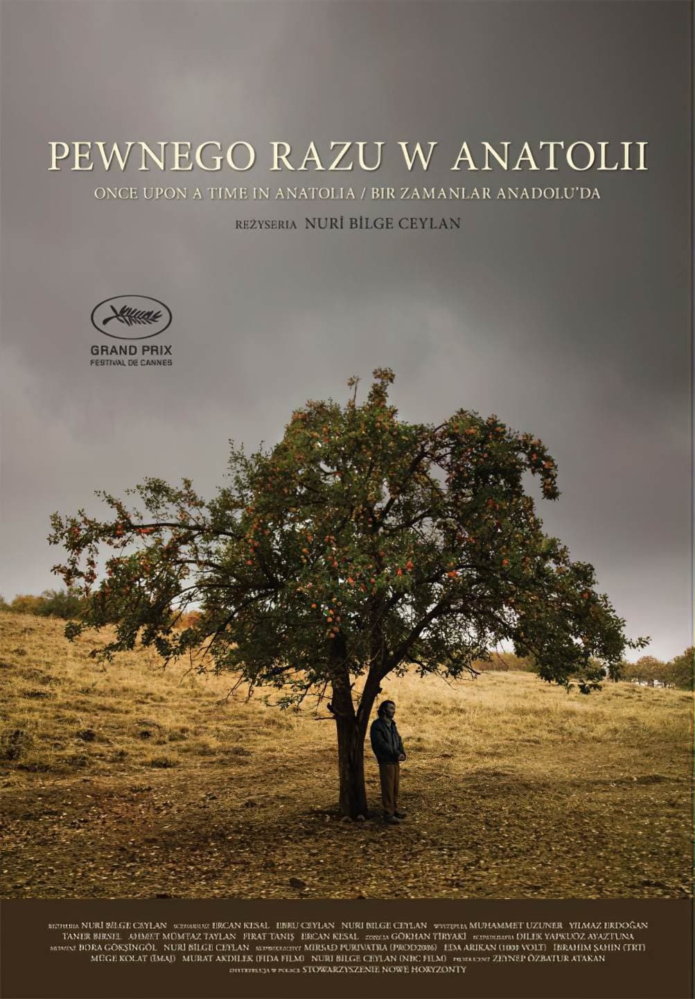 Oglądaj Pewnego razu w Anatolii