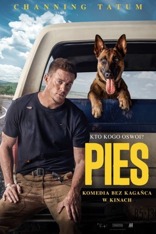 Oglądaj Pies