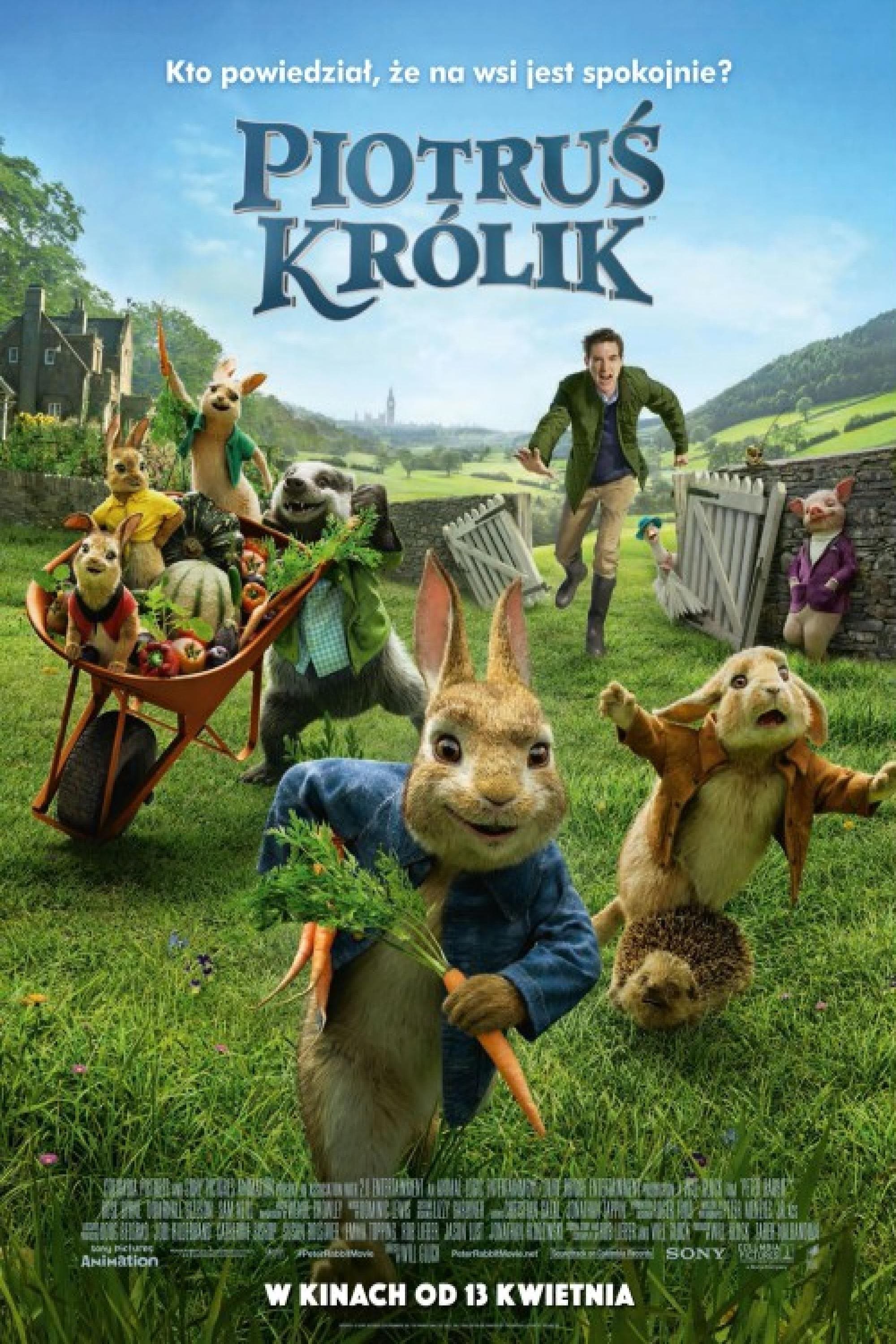 Oglądaj Piotruś Królik