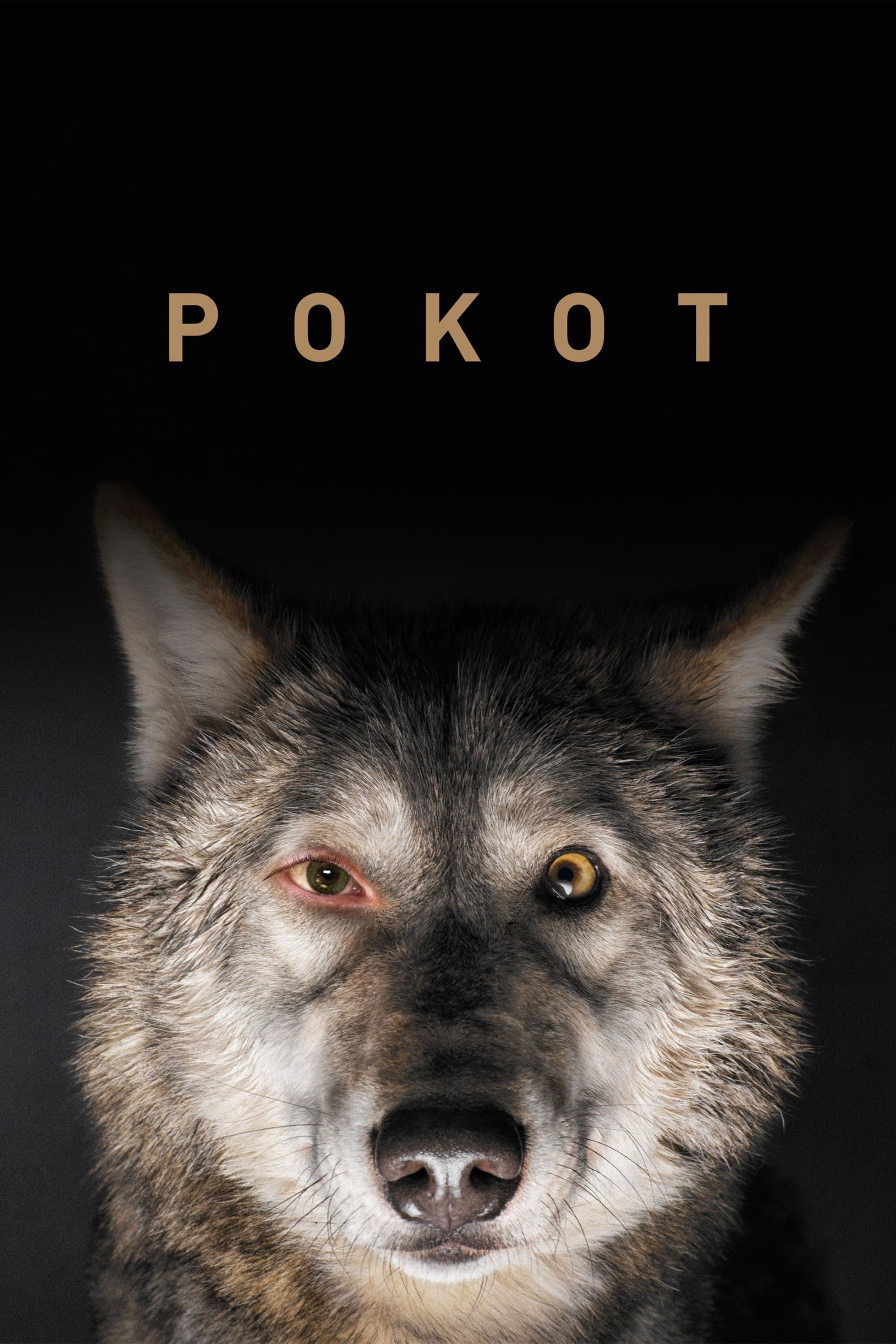 Oglądaj Pokot