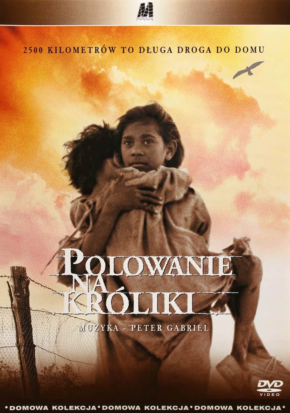 Oglądaj Polowanie na króliki