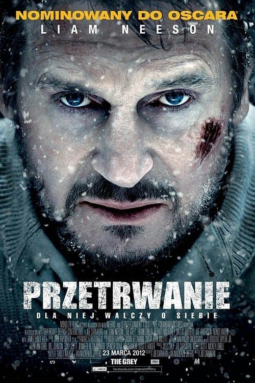 Oglądaj Przetrwanie