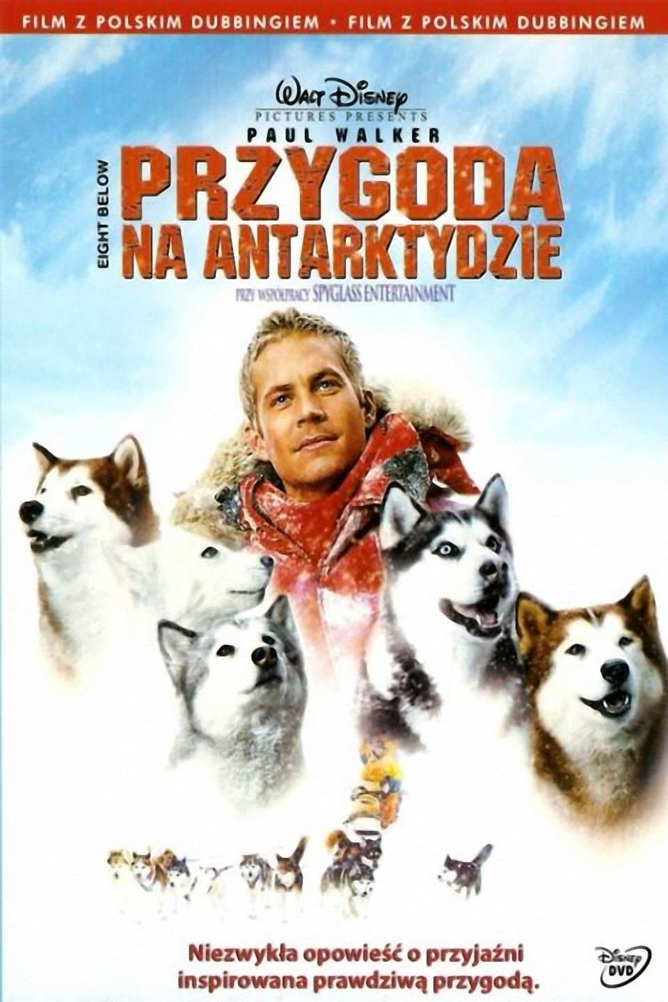 Oglądaj Przygoda na Antarktydzie