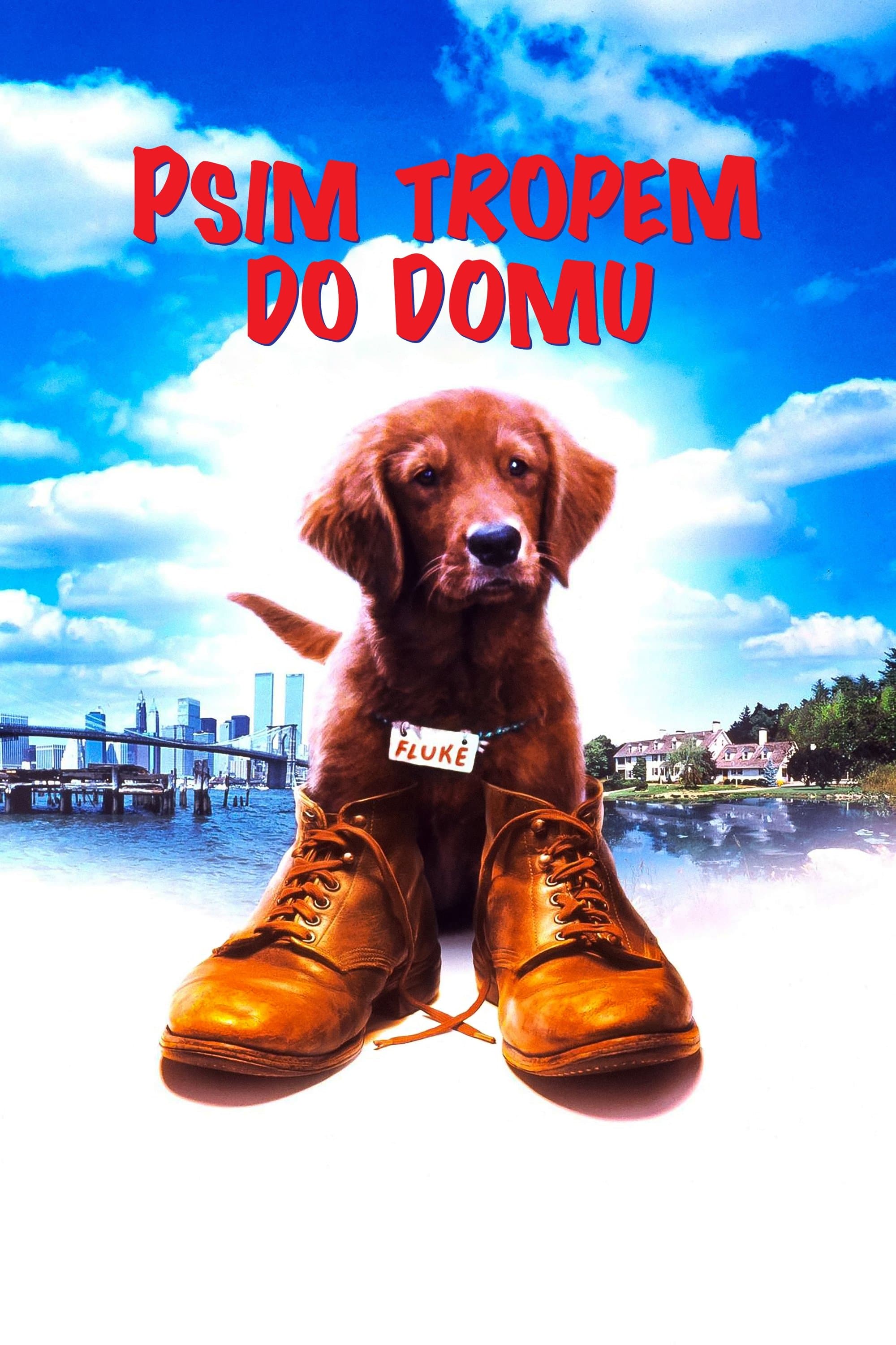 Oglądaj Psim tropem do domu