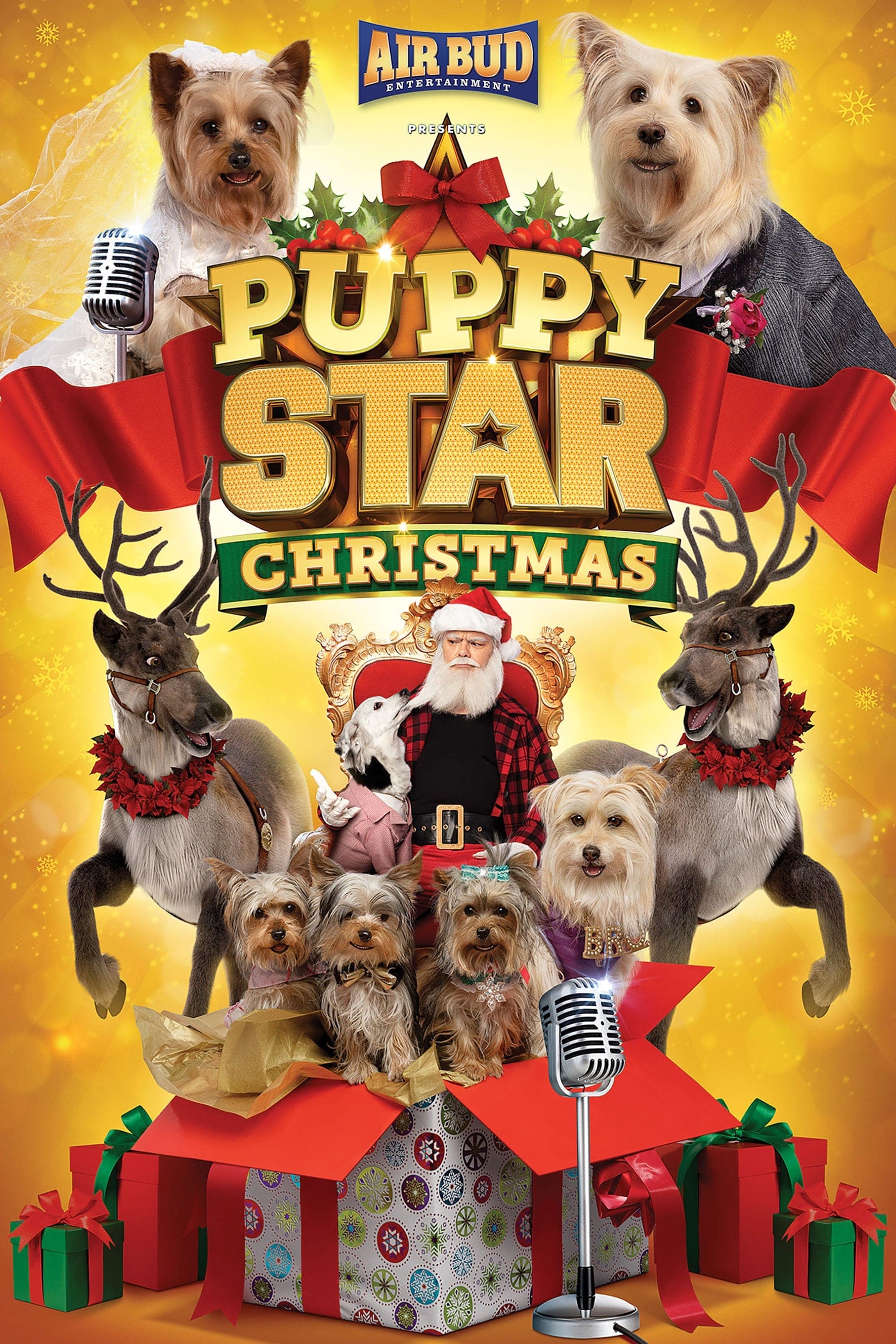 Oglądaj Puppy Star: Boże Narodzenie