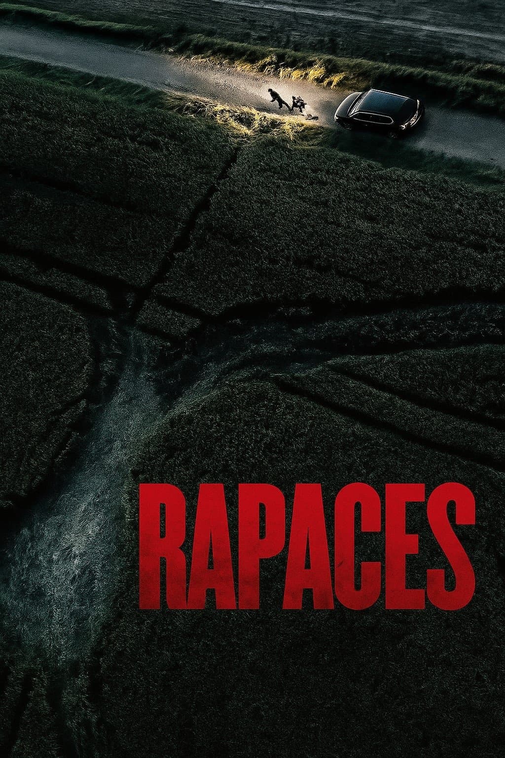 Oglądaj Rapaces