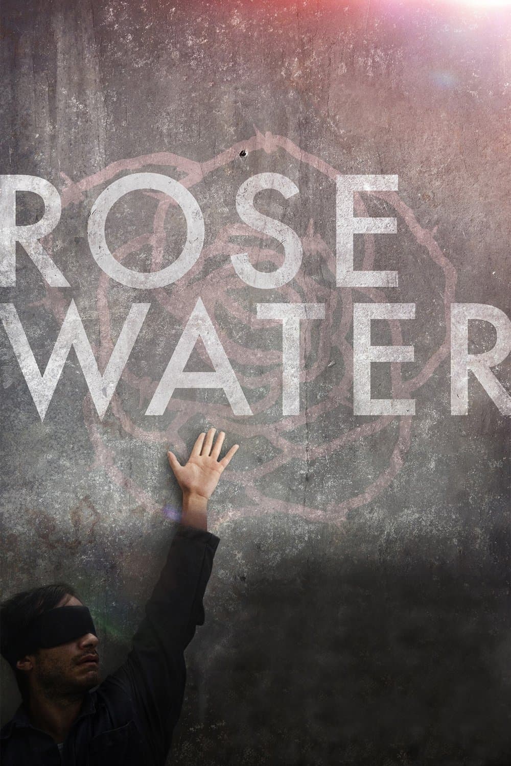 Oglądaj Rosewater