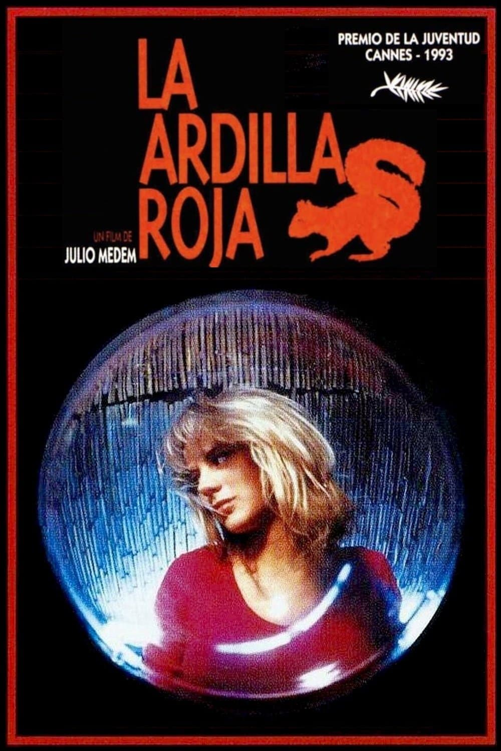 Oglądaj Ruda wiewiórka