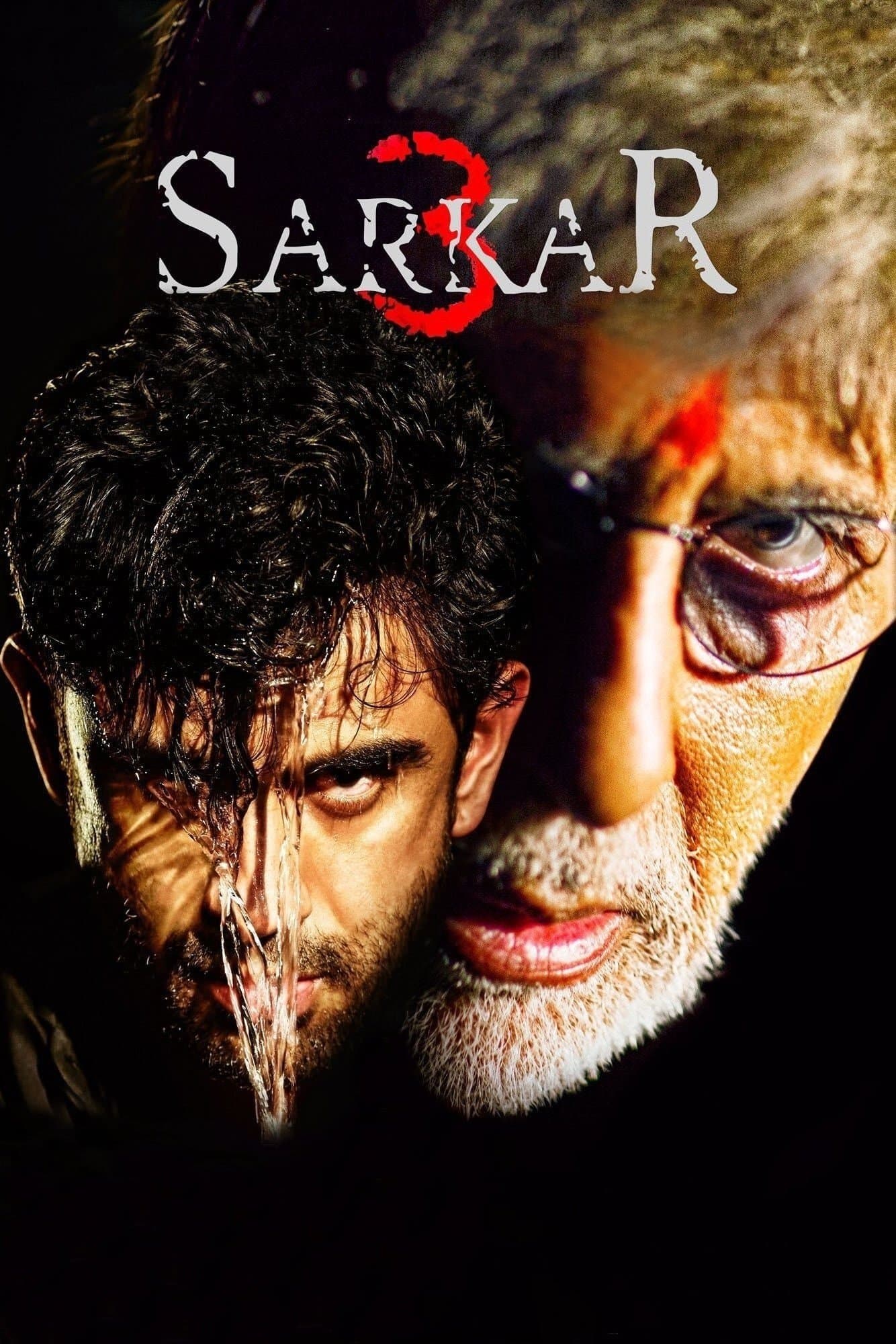 Oglądaj Sarkar 3