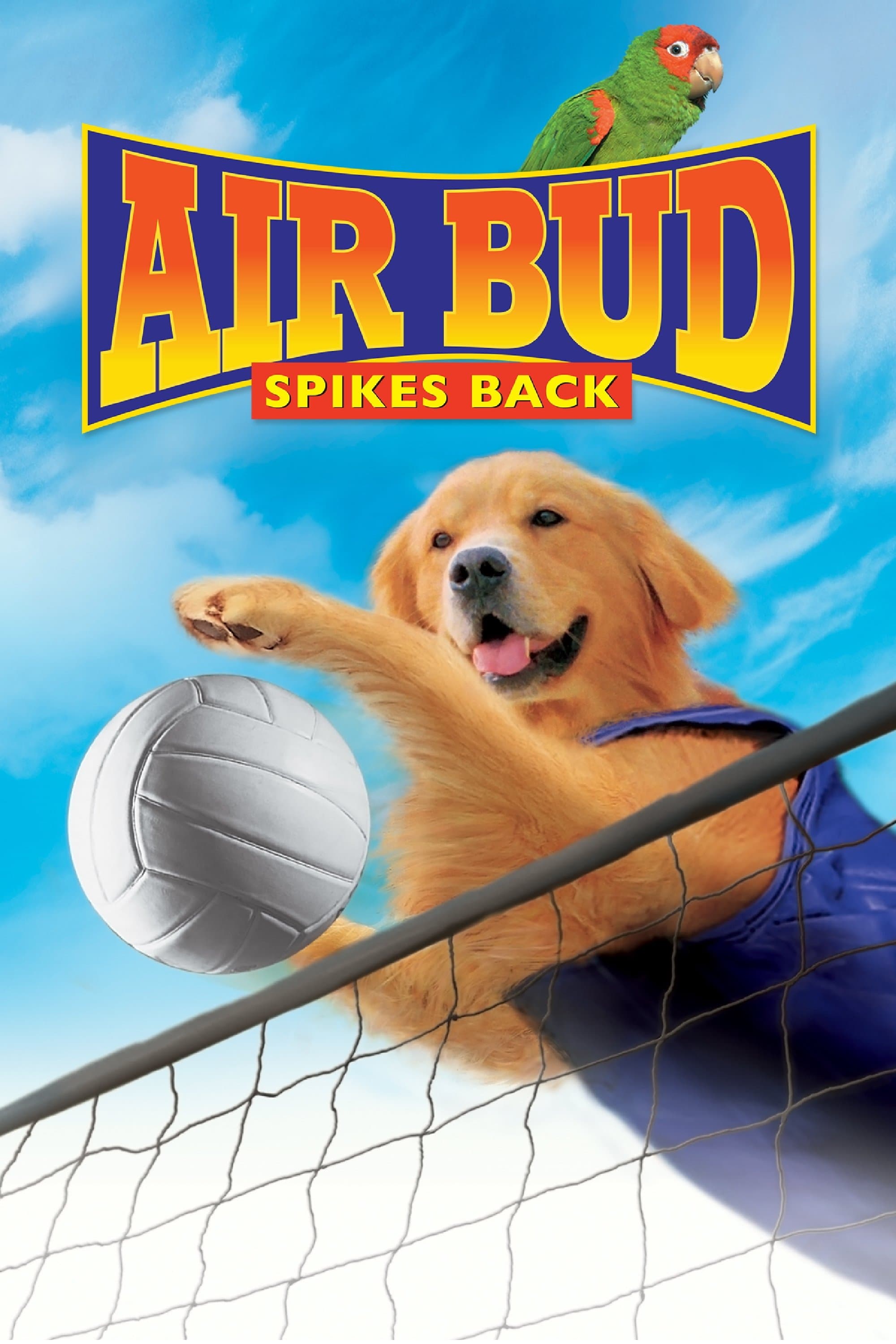 Oglądaj Siatkarz Buddy