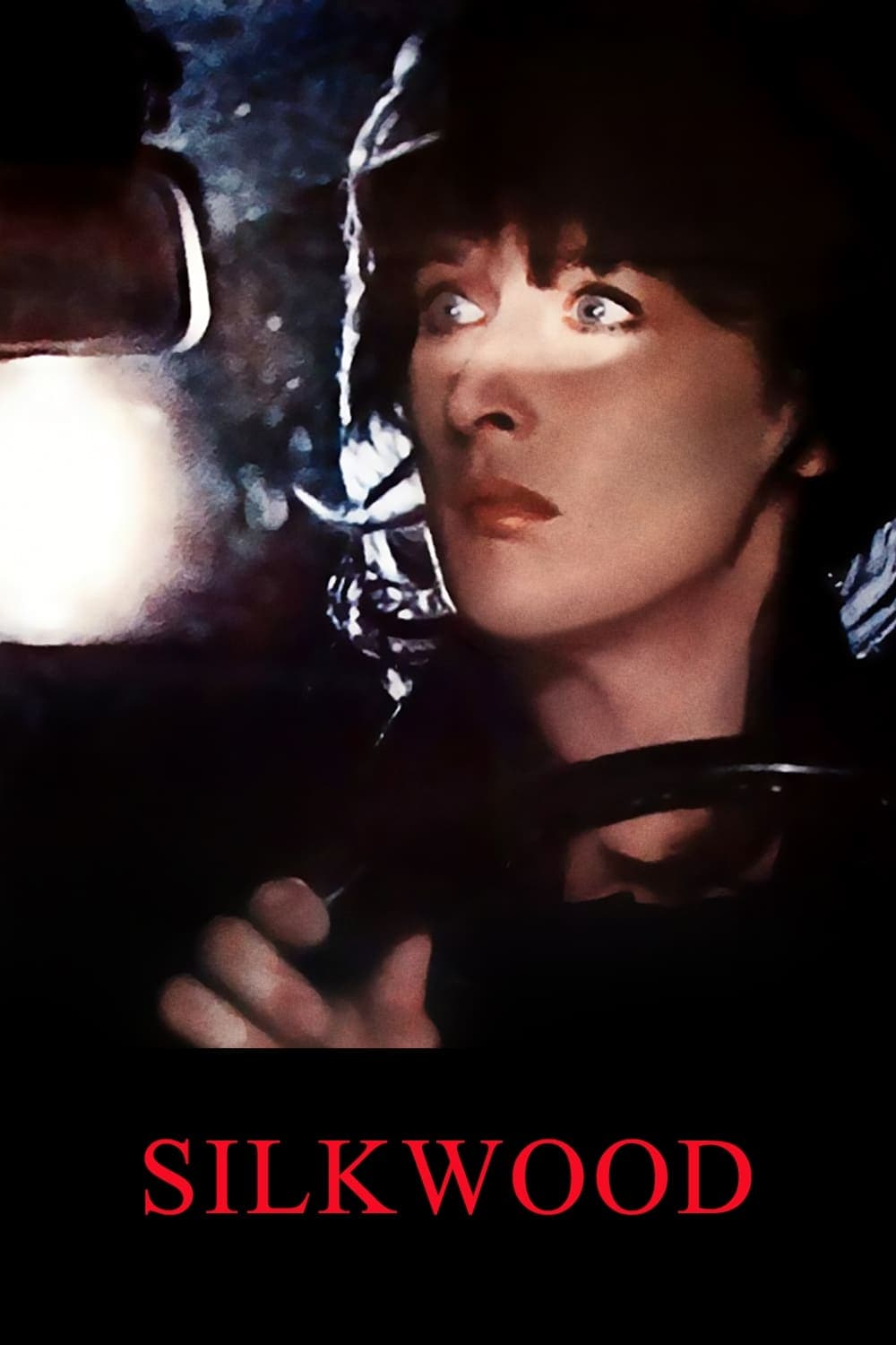 Oglądaj Silkwood
