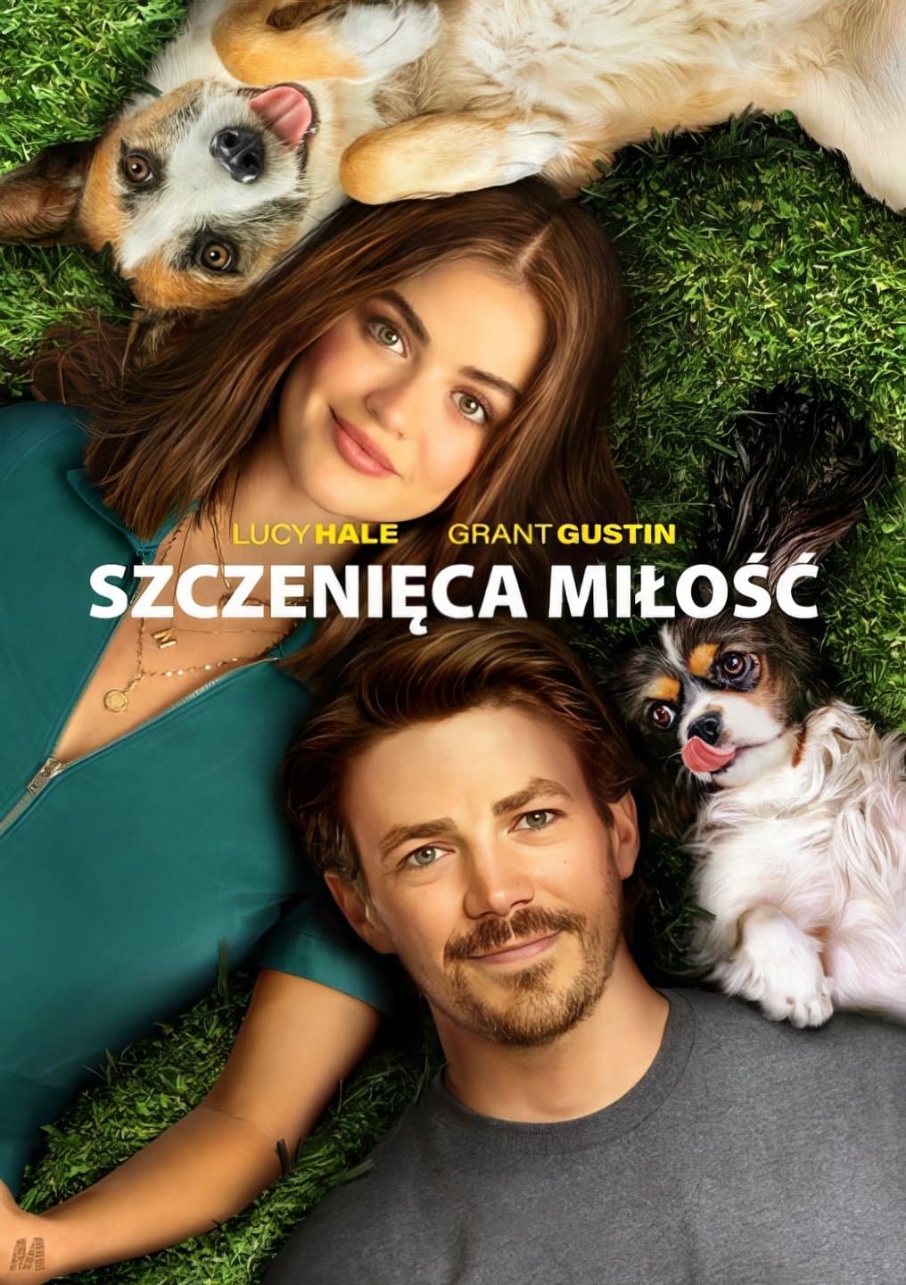 Oglądaj Szczenięca miłość