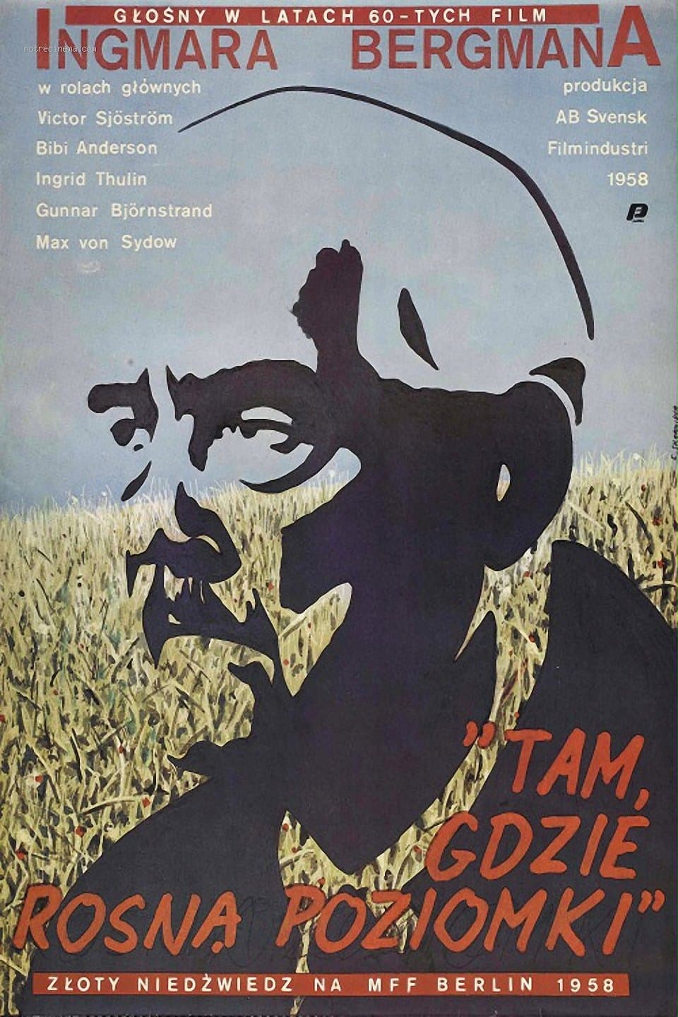 Oglądaj Tam, gdzie rosną poziomki
