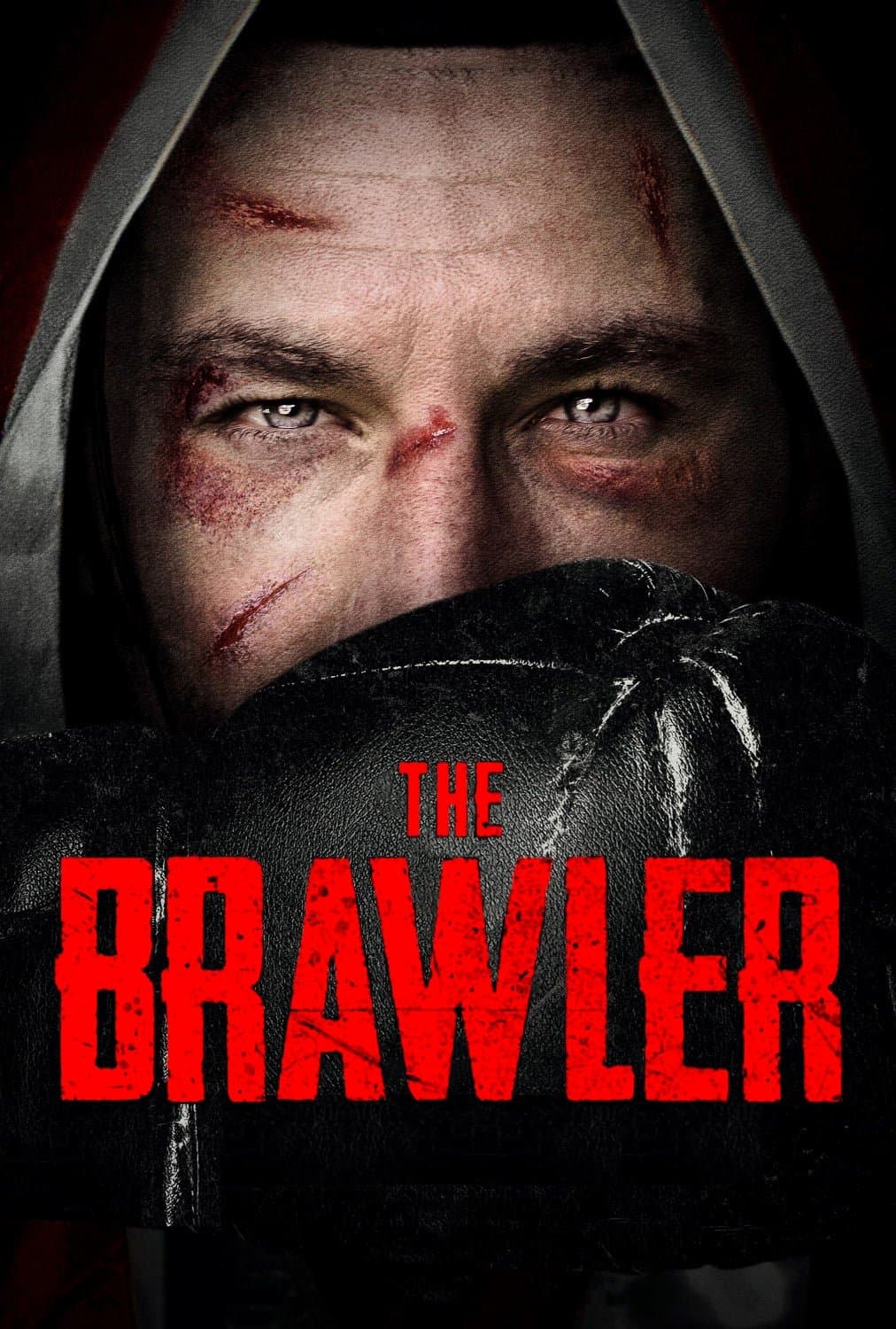 Oglądaj The Brawler