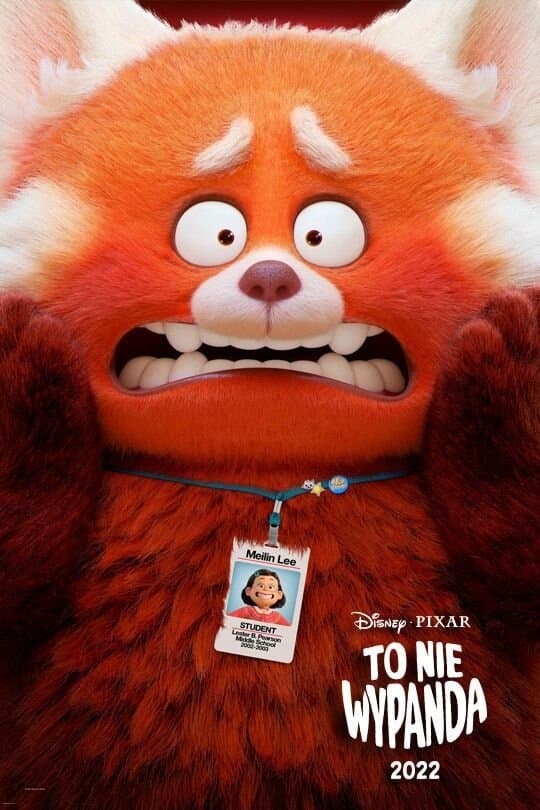 Oglądaj To nie wypanda