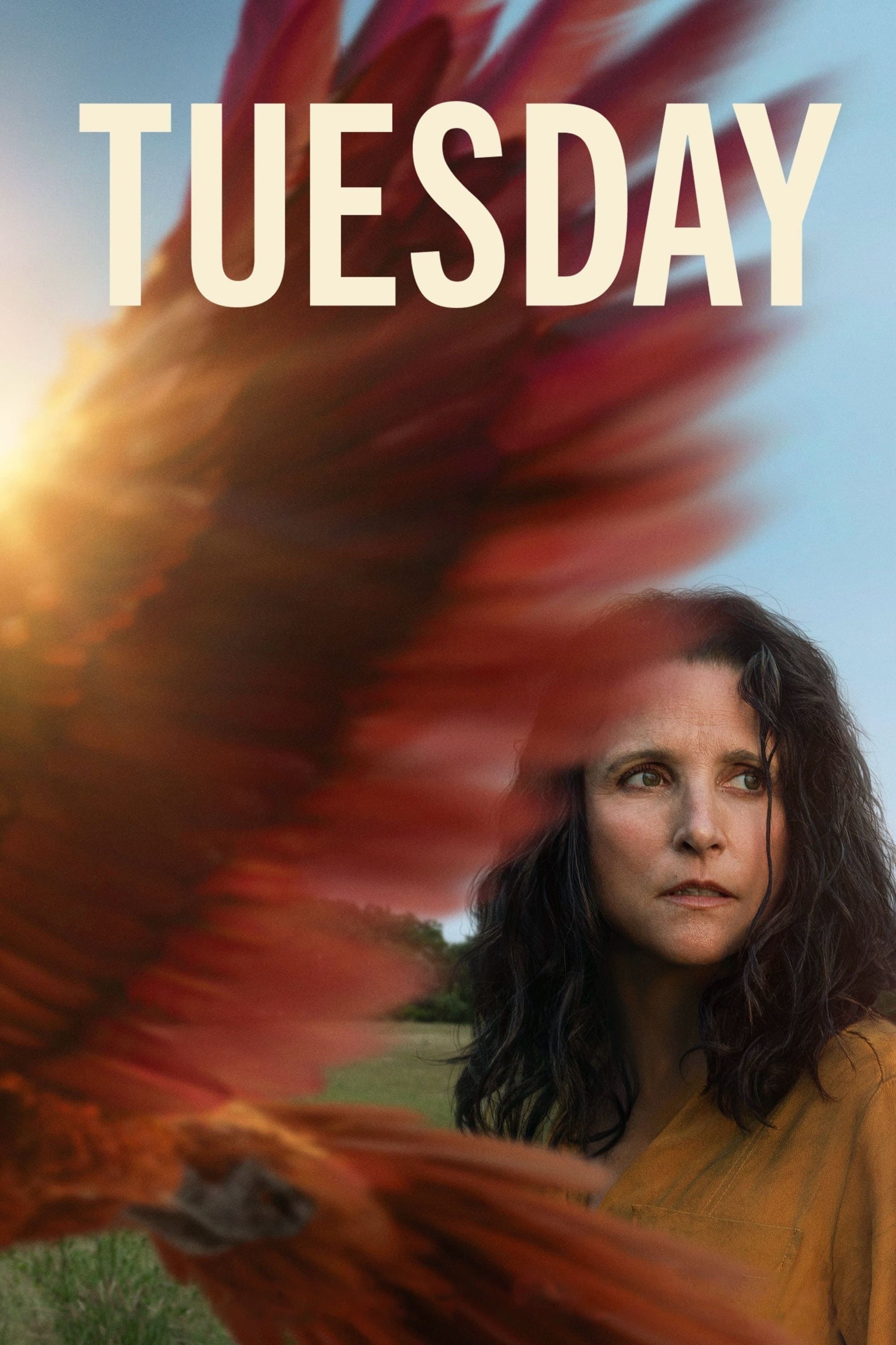 Oglądaj Tuesday