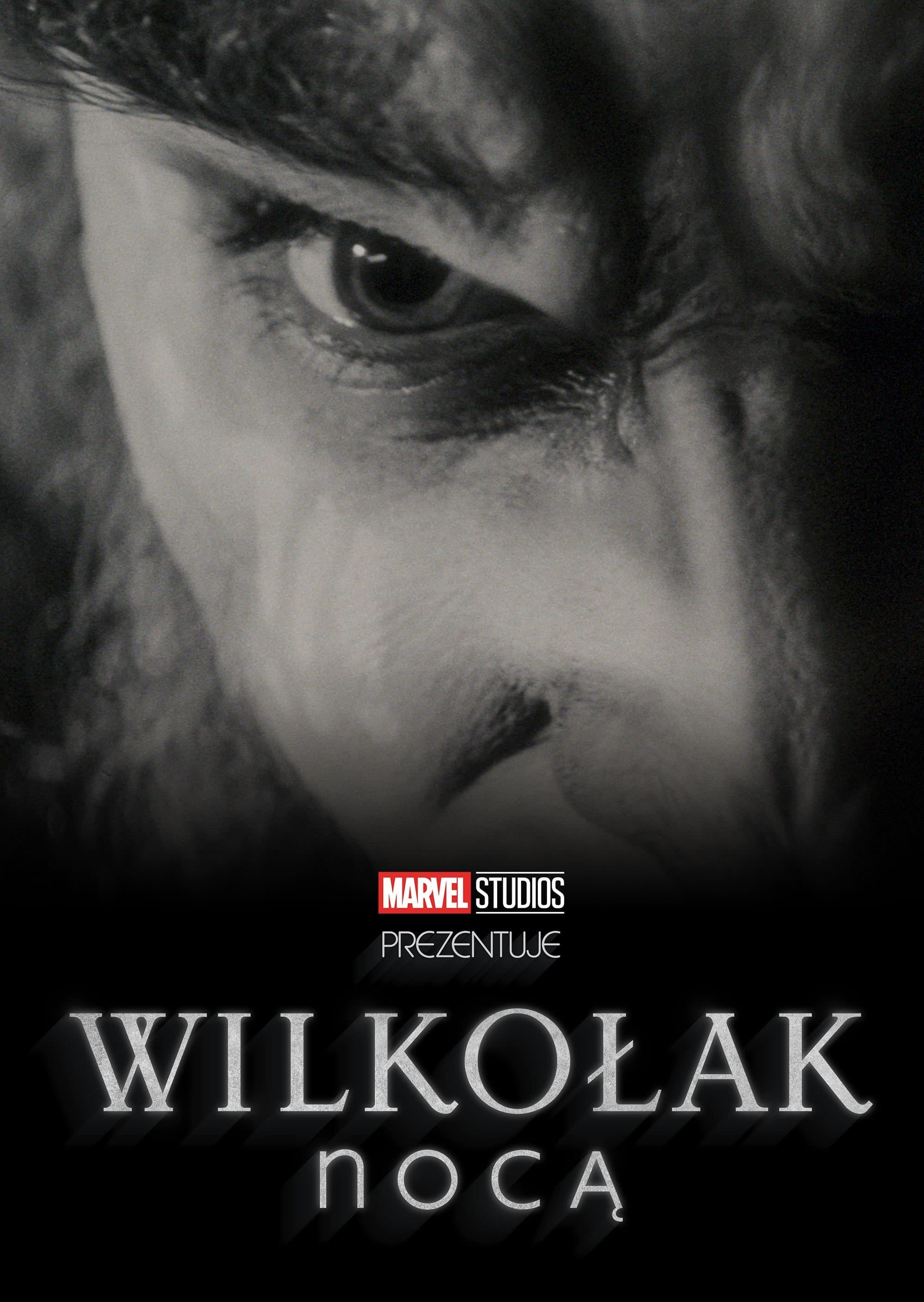 Oglądaj Wilkołak nocą