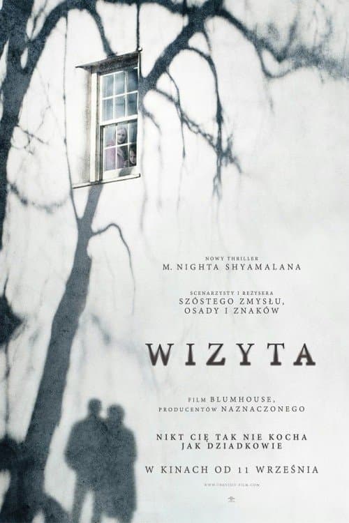 Oglądaj Wizyta