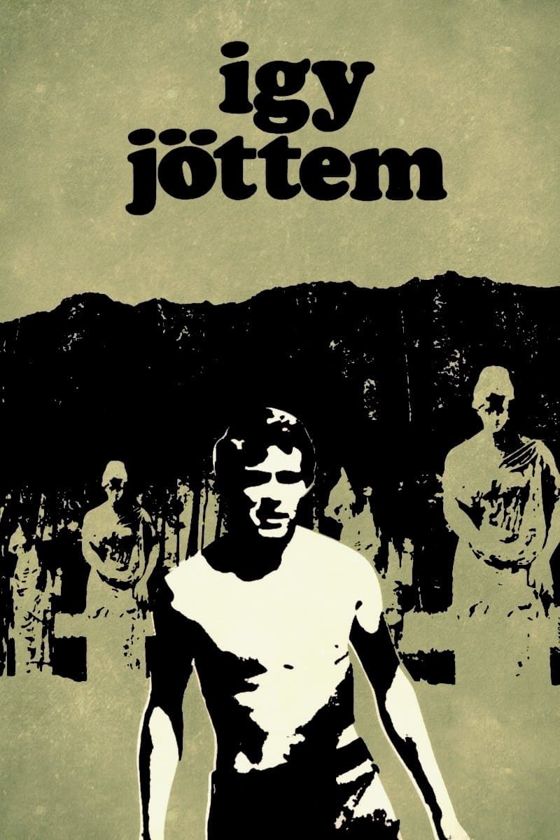 Oglądaj Wojenna przyjaźń