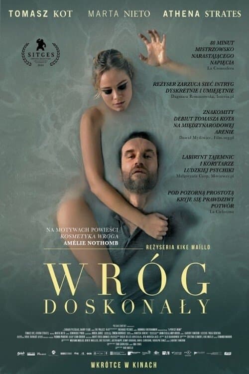 Oglądaj Wróg doskonały