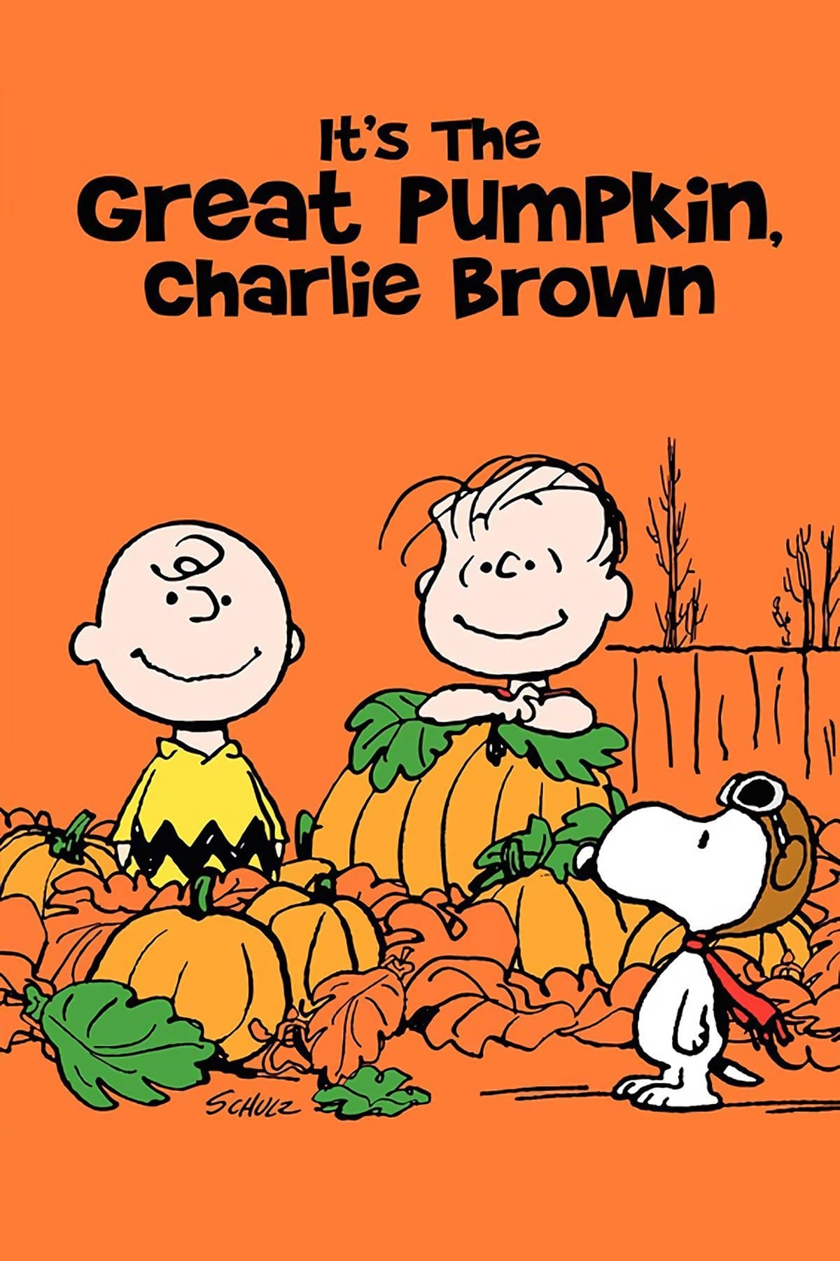 Oglądaj Wspaniałe Halloween Charliego Browna