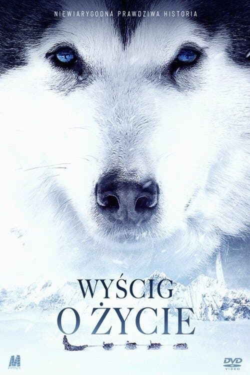 Oglądaj Wyścig o życie