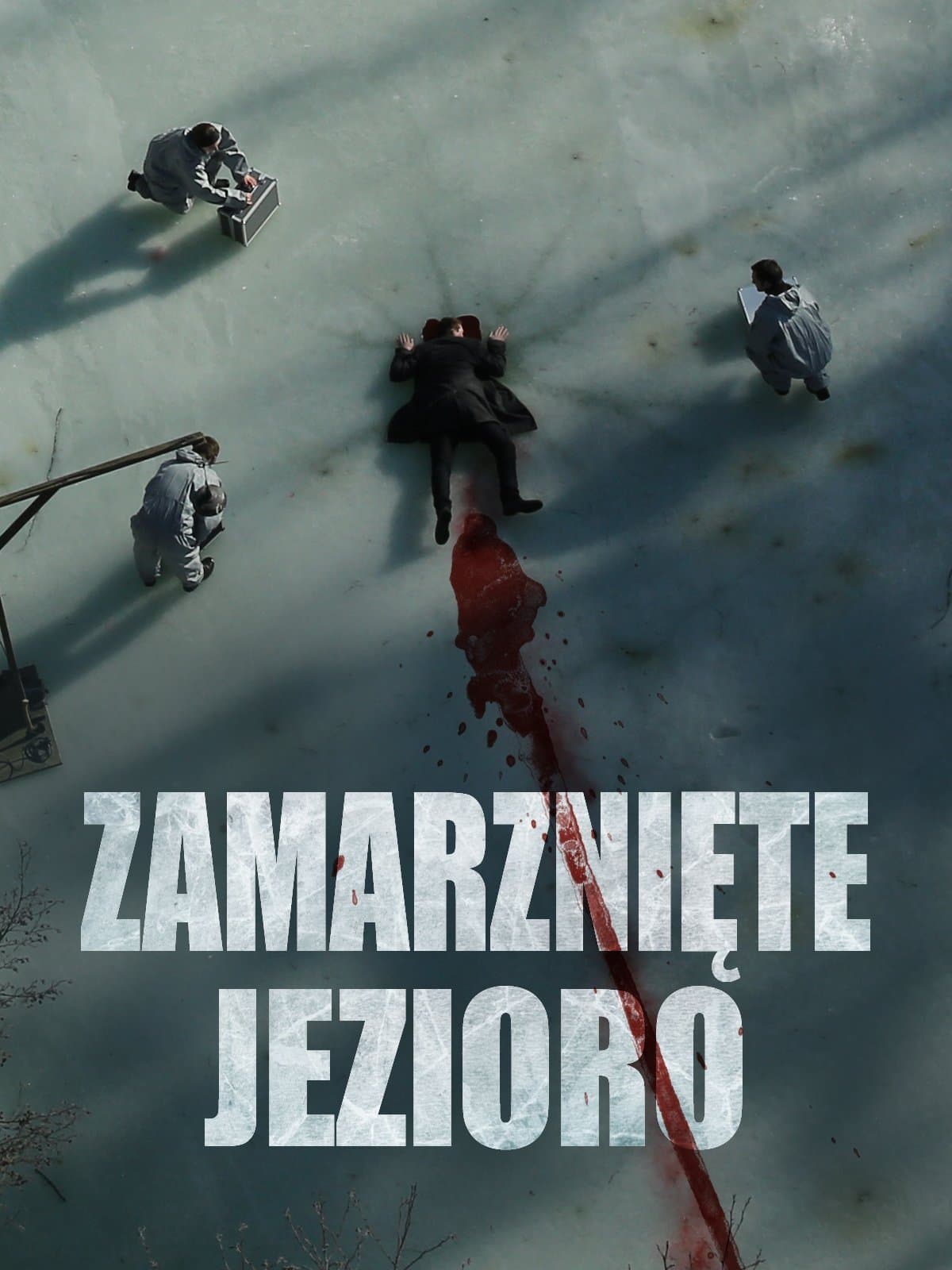 Oglądaj Zamarznięte jezioro
