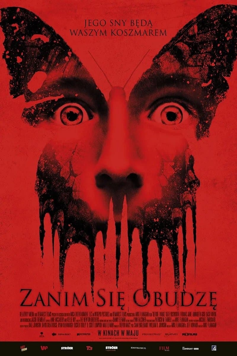 Oglądaj Zanim się obudzę