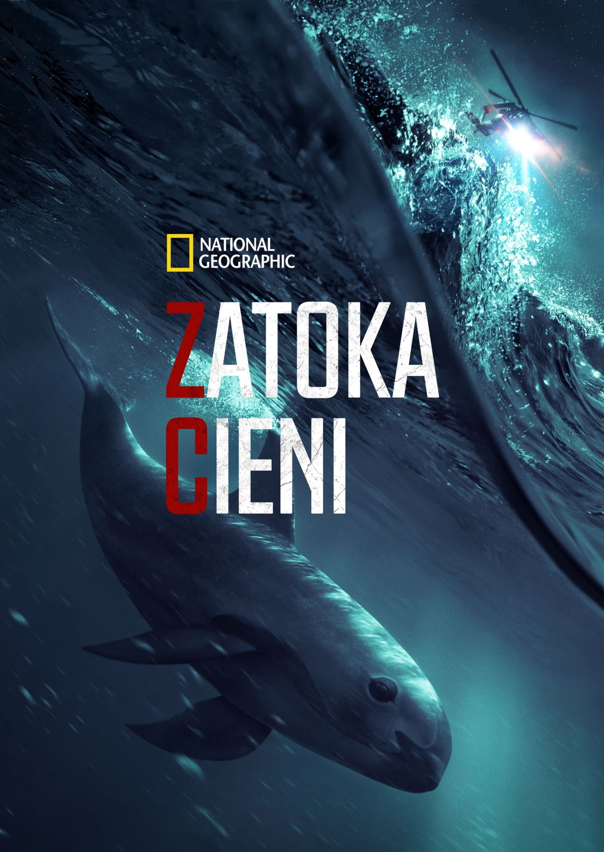 Oglądaj Zatoka cieni