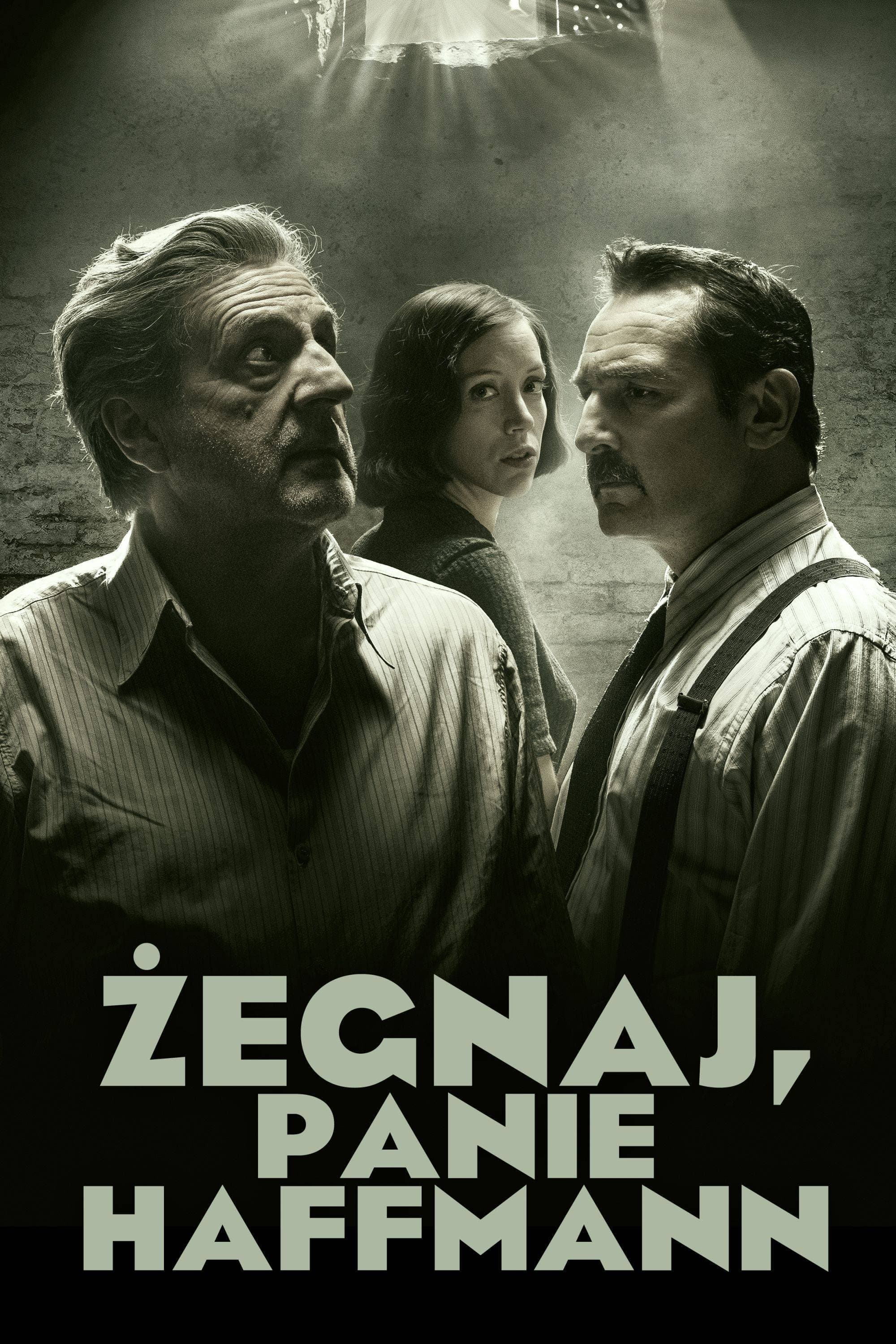 Oglądaj Żegnaj, Panie Haffmann