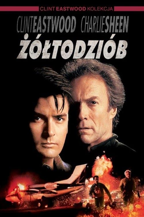 Oglądaj Żółtodziób