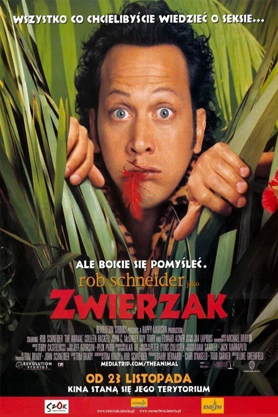 Oglądaj Zwierzak