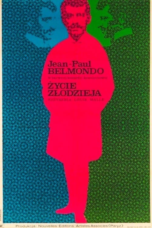 Oglądaj Życie Złodzieja