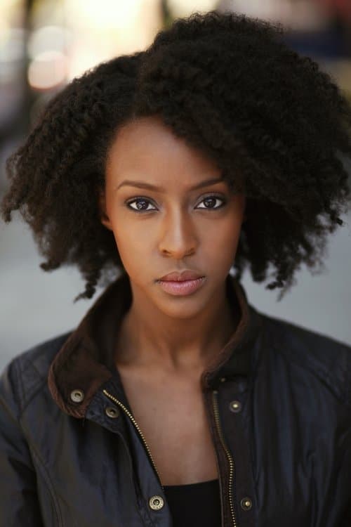 Ebony Obsidian zdjęcie