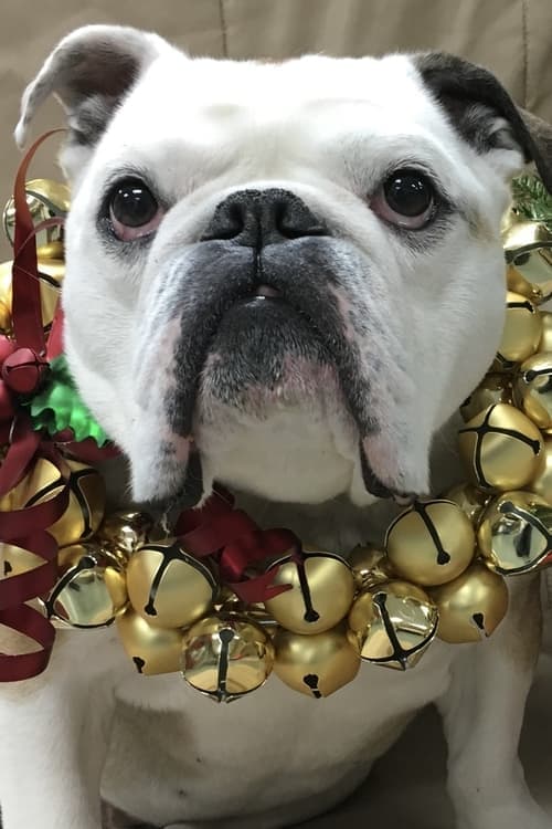 Nellie zdjęcie