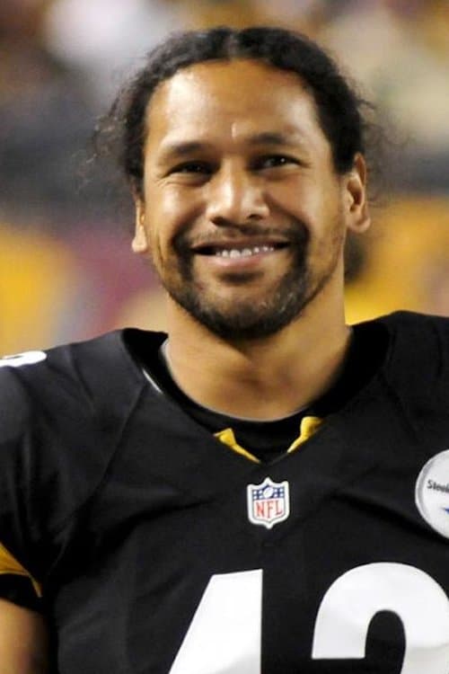 Troy Polamalu zdjęcie